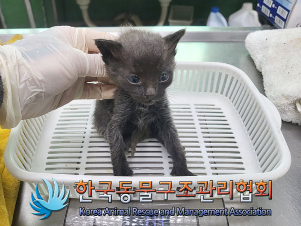 종료(자연사) 한국…